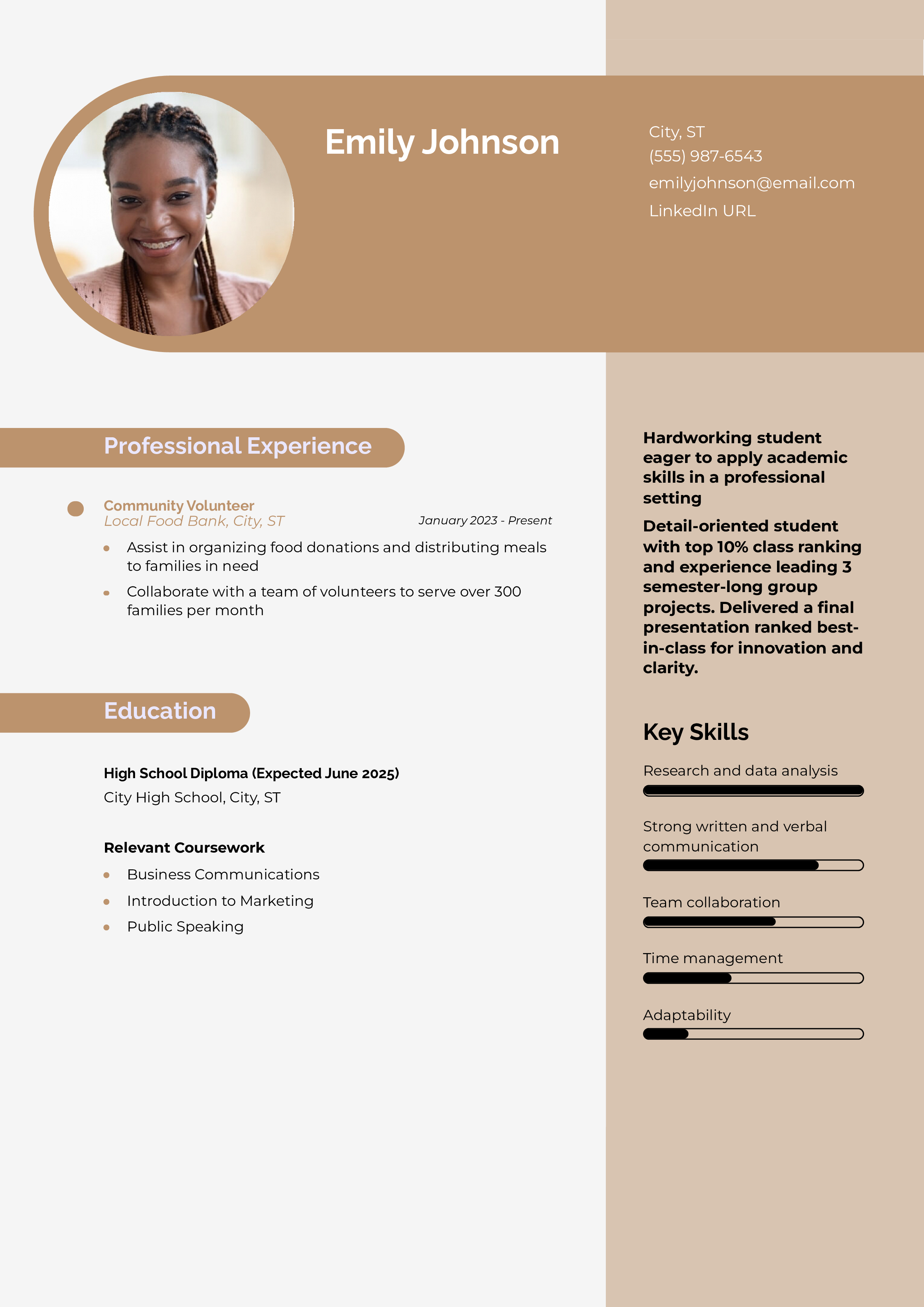 Professional Resume Template 1